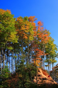 巴塞罗那前锋梅西复出，球队士气高涨