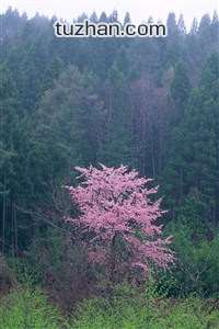 尤文图斯大胜晋级，小组排名攀升